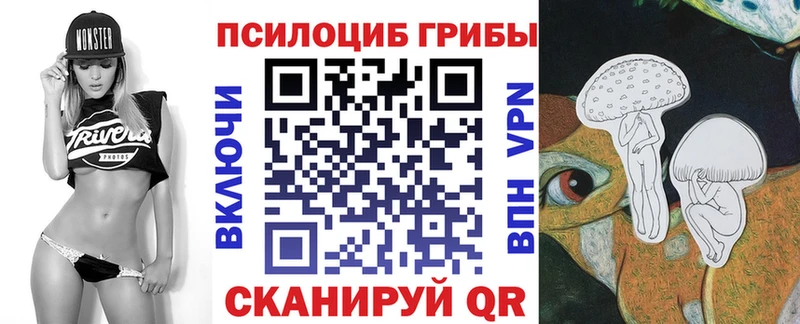 Псилоцибиновые грибы мицелий  где купить наркоту  площадка наркотические препараты  Кувандык 